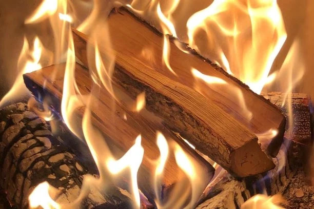 8kg Kiln-Dried Wood Logs suitable for Pizza Ovens (Red Net)