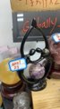 aa01 20220216 cassie