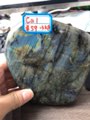 CA1 20220216 CASSIE