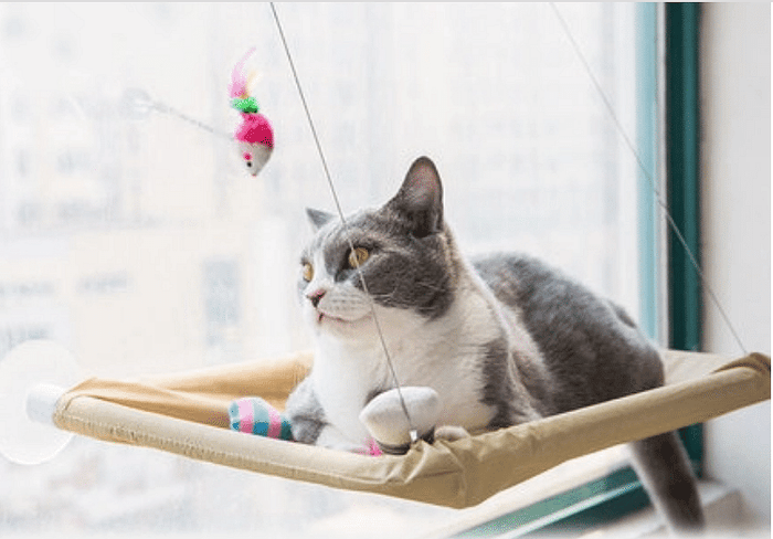 Cat window Bed - Jafsale.com