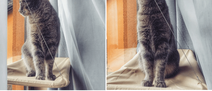 Cat window Bed - Jafsale.com