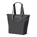 Daytrip 20L Insulated Tote Bag