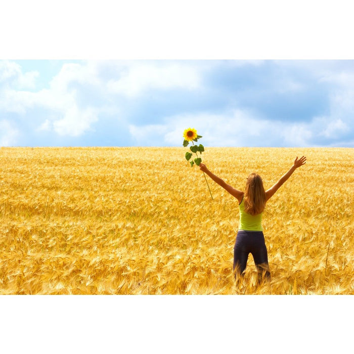 Gratitude Essential Oil Kit