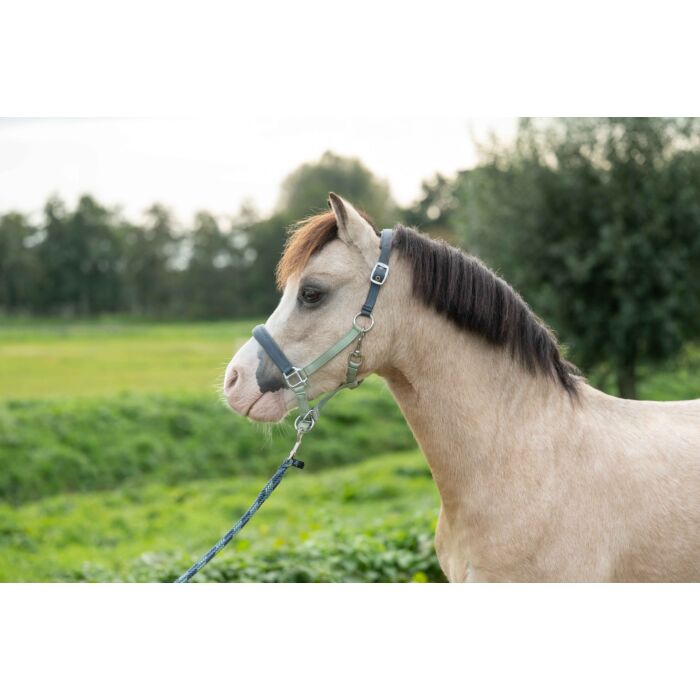 HKM Head Collar Barnie