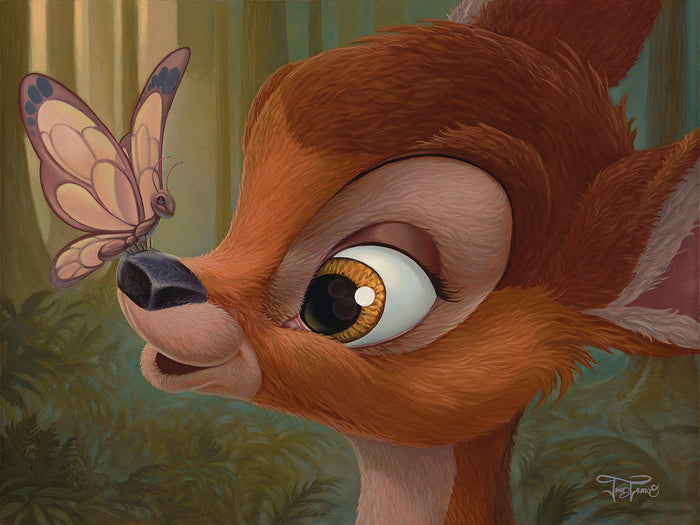 "Nosey Butterfly" by Jared Franco