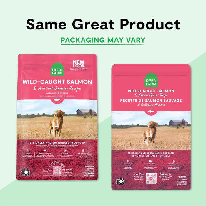 Open Farm Wild-Caught Salmon & Ancient Grains Dry Dog Food, 4 lb