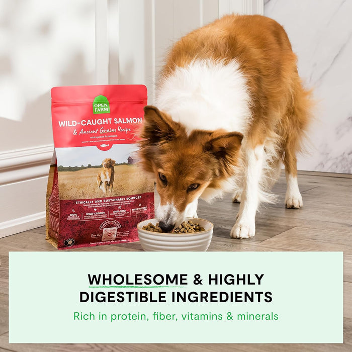 Open Farm Wild-Caught Salmon & Ancient Grains Dry Dog Food, 4 lb