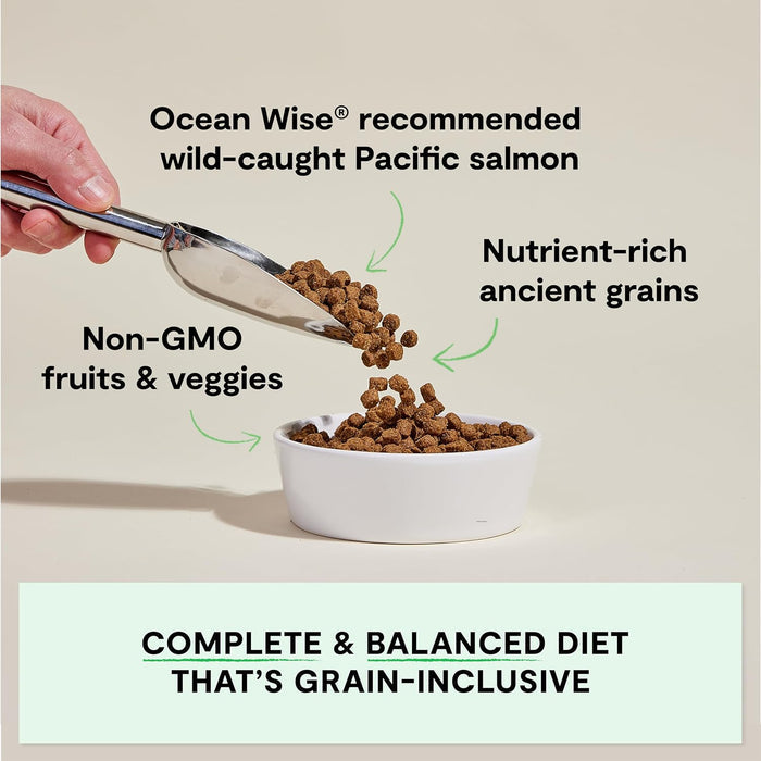 Open Farm Wild-Caught Salmon & Ancient Grains Dry Dog Food, 4 lb