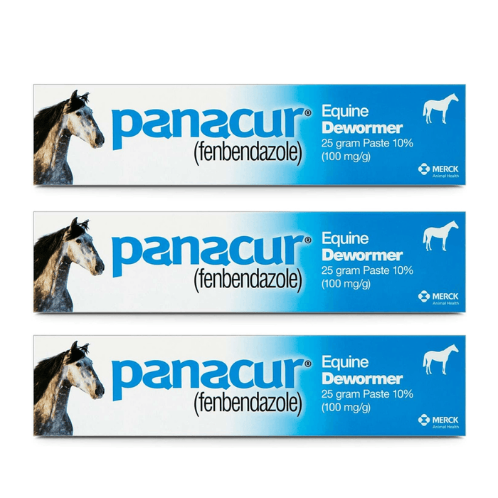 Panacur Equine Dewormer Paste 10 Percent Fenbendazole – Apple Cinnamon 3 Pack