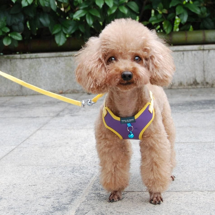 Pet Cat Dog Harness Vest