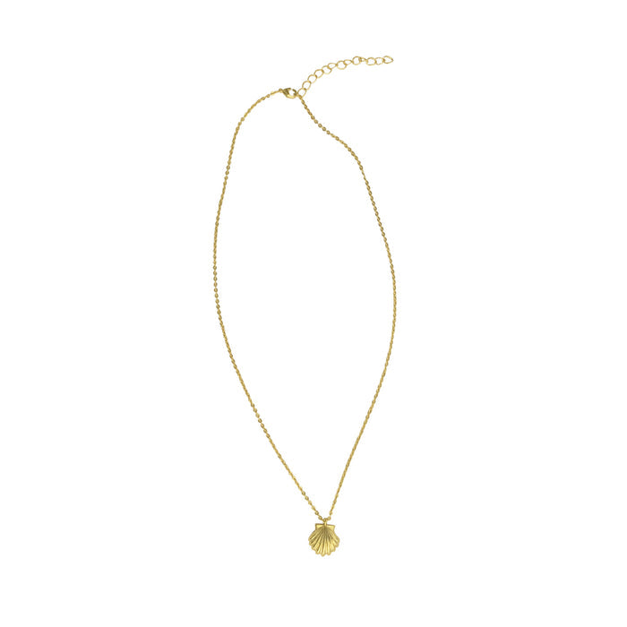 Shell Necklace