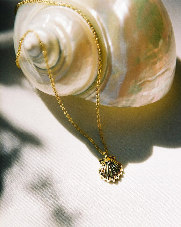 Shell Necklace