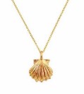 Shell Necklace