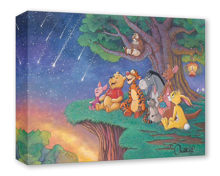 "Stars, Wishes and Friendship" by Michelle St.Laurent