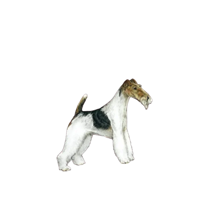 The Terrier Grooming Chart Book by Sam Kohl